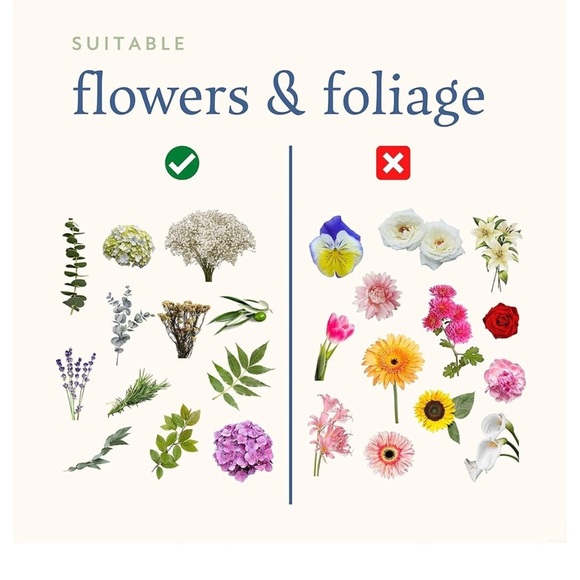 🆕 Our Hands Flower and Foliage Preservation Kit - Picture 2 of 8